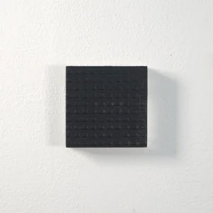 Tineke Porck Carre noir 2024