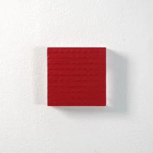 Tineke Porck, Carre rouge