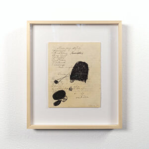 Wim Biewenga Haver zichten