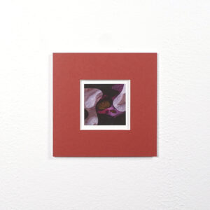 Birgit Speulman AB56-4k